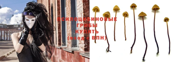 соль курить ск Богородск