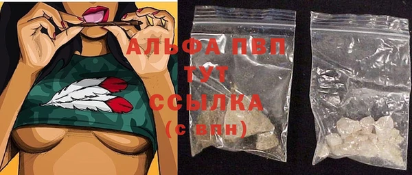 PSILOCYBIN Богданович