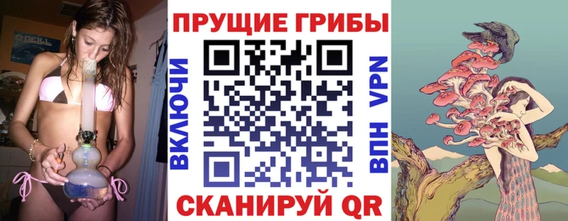 Псилоцибиновые грибы Psilocybine cubensis  даркнет сайт  Великие Луки 